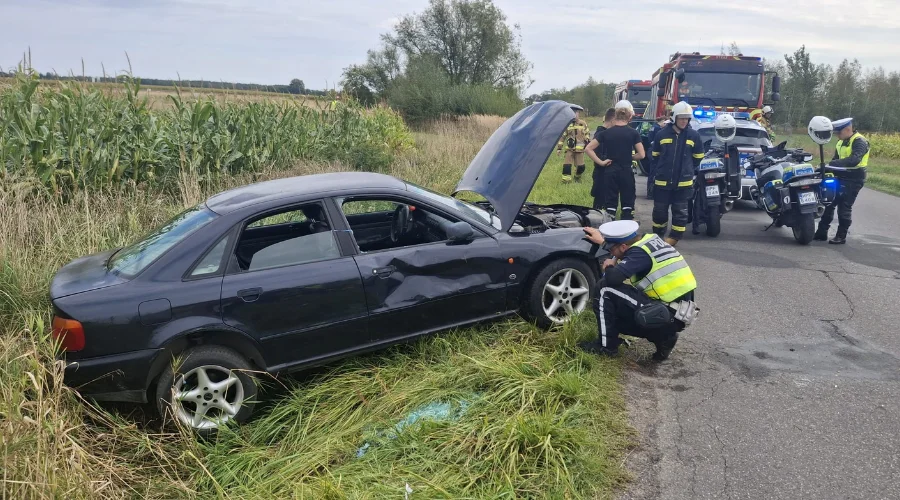 wypadek Krężna