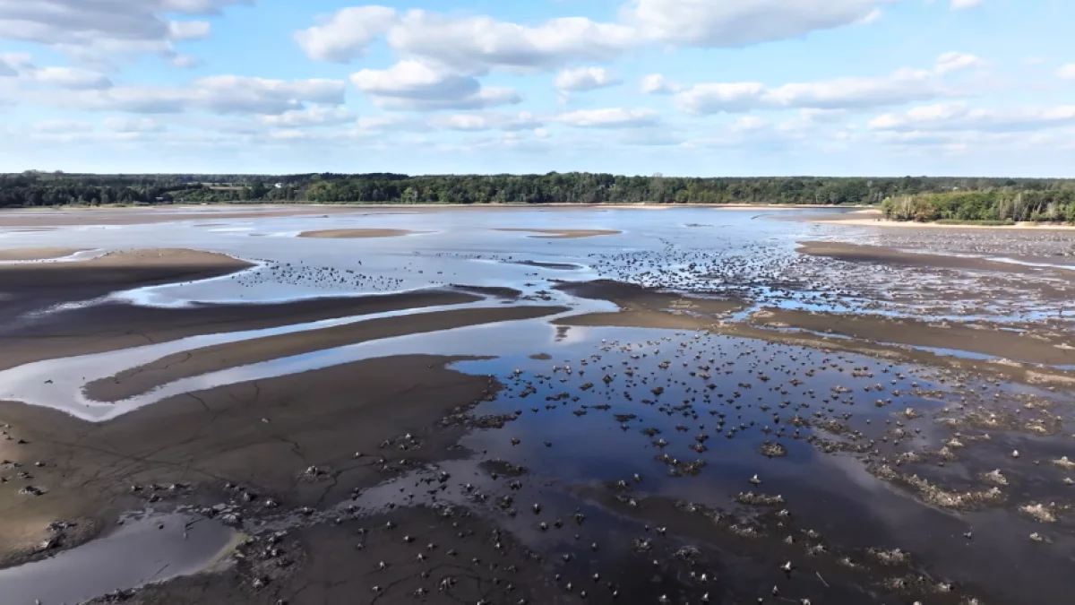 Krajobraz jak na pustyni. Turystyczny symbol regionu łódzkiego walczy z suszą [FILM]